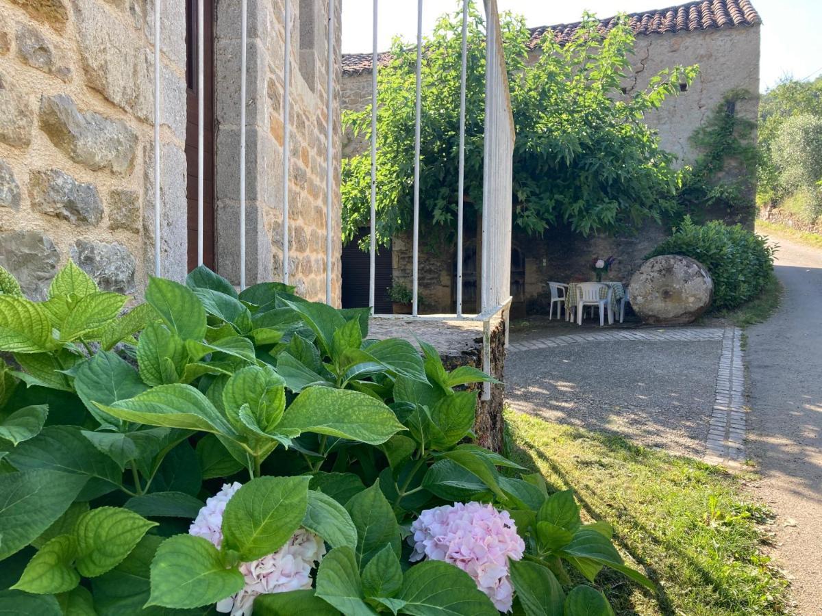 La Ferme Du Paradis Verfeil-sur-Seye Exterior photo